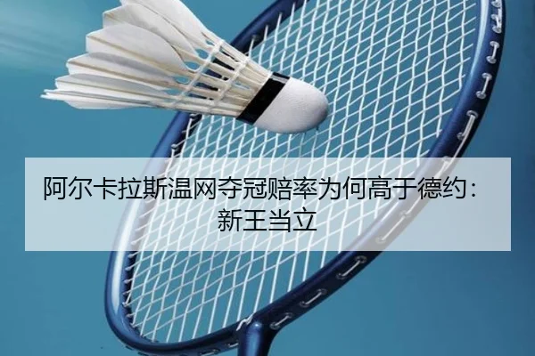 a-er-ka-la-si-wen-wang-duo-guan-pei-lv-wei-he-gao-yu-de-yue-xin-wang-dang-li-2-134.jpg